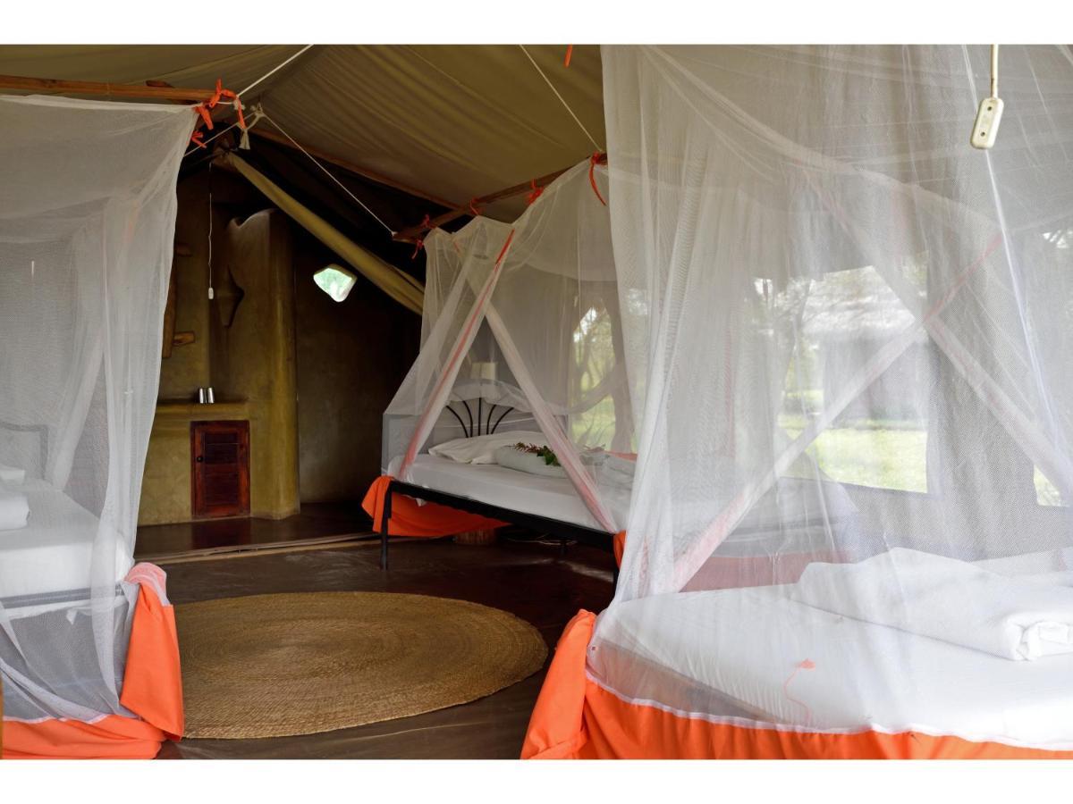 Ikoma Bush Camp Robanda 外观 照片